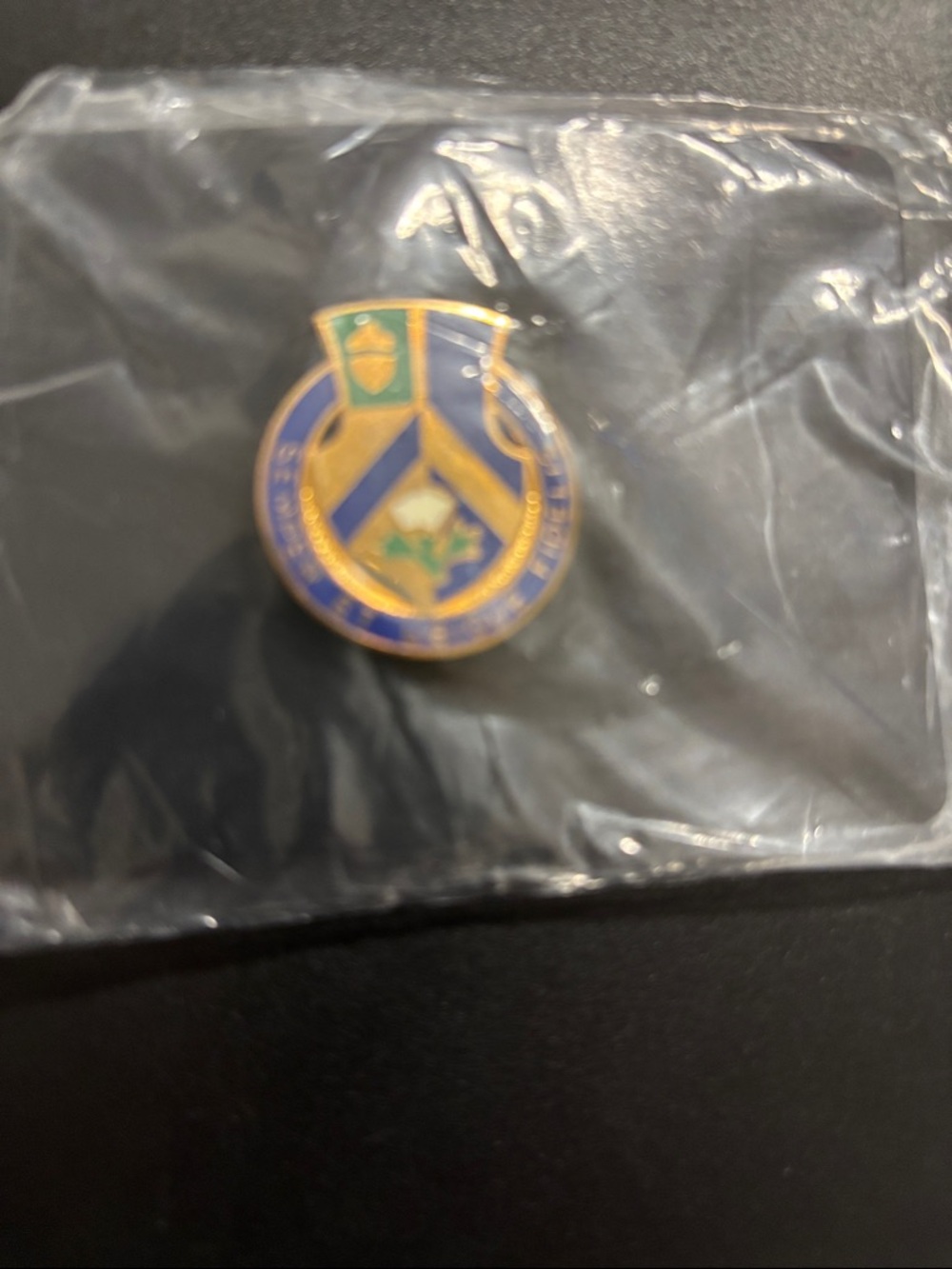 346 Unit Crest Shield Pin in Blue, Gold, Green
